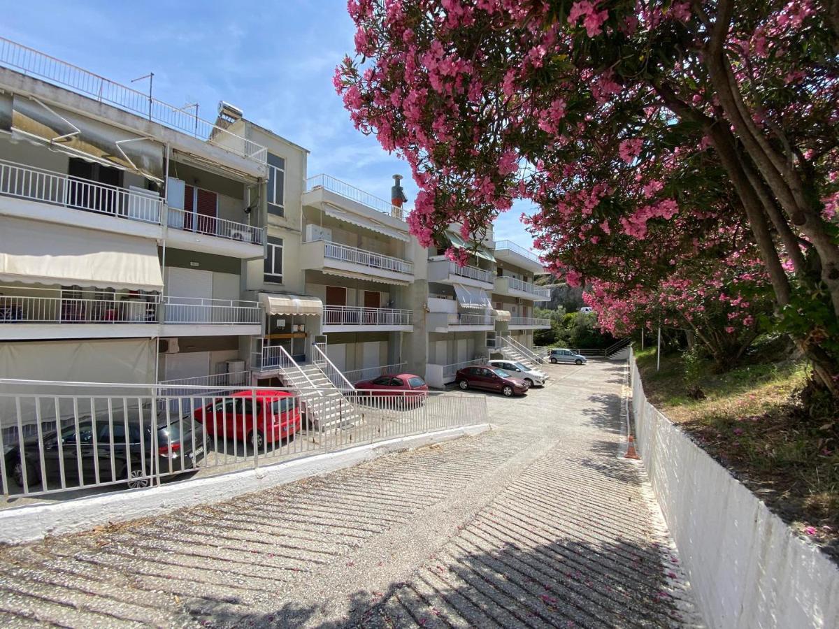 Basileia'S Home PalaiónTsiflíkion Exterior foto